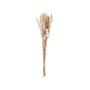 Dried Flower Bouqet Natural Dried Flowers 52 Cm Wrapped In Brown Paper Natural Table Decoration