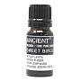 10ml Sweet Birch Essential Oil