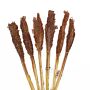 Cantal Grass Bunch - Chocolate