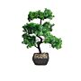 Bonsai Tree Decoration Boxwood 37cm