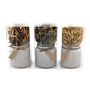 Set Of 3 Dried Grasses In Ceramic Pots