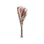 Dried Flower Bouqet Pink Natural Dried Flowers 50 Cm Wrapped In Brown Paper Natural Table Decoration