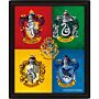 Harry Potter Crests Framed 3d Picture