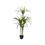 Artificial Potted Dracaena Green Synthetic Material 147 Cm