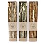 Set Of 3 Dried Grasses In Display Box