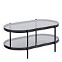 Bayonne Oval Coffee Table With Smoked Glass Top