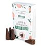 Plant Based Backflow Incense Cones - Apple & Cinnamon