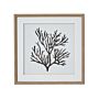 Reef Coral Art Mounted In Beaded Frame