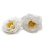 Craft Soap Flower - Camellia - White - Pack Of 10