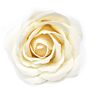 Craft Soap Flowers - Lrg Rose - Ivory - Pack Of 10