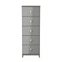 Yarmouth 5 Drawer Bedside Cabinet In Uniform Grey & Dusk Grey