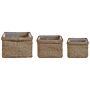 Set Of 3 Plant Pots Natural Seagrass 23 X 34/ 27 X 36/ 30 X 45 Cm Home Accessory Planter