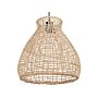 Pendant Lamp Light Rattan Natural Hand Woven Wicker Shade Ceiling Light