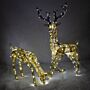 Light Up Reindeer Gold Stag & Doe Set