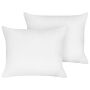 Two Bed Pillows White Lyocell Japara Cotton Rectangular 50 X 60 Cm Polyester Filling Low Profile Sleeping Cushion