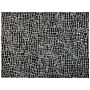 Area Rug Black And White Polyester Cotton Backing 300 X 400 Cm Decorative Floor Mat