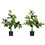 Homcom Set Of 2 Artificial Plants, Lemon And Orange Tree With Pot, For Home Decor, 60cm