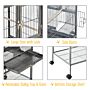 Pawhut Double Rolling Metal Bird Cage Parrot Cage With Removable Metal Tray, Storage Shelf, Wood Perch, And Food Container