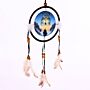 Dreamcatcher (small) - Cosmic Wolf