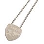 Arsenal Fc Stainless Steel Pendant & Chain