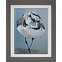 Swagger By Dlynn Roll - Framed Art