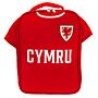 Fa Wales Kit Lunch Bag