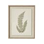 Fern Art On Texture-torn Paper With Beaded Frame