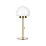 Table Lamp Gold Metal Base Glass Shade Pull Switch Minimalistic Style Home Office Light