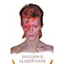 David Bowie Poster Aladdin Sane 269