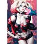 Dc Comics Poster Harley Quinn 101