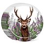 Recycled Rpet Set Of 4 Picnic Plates - Wild Stag